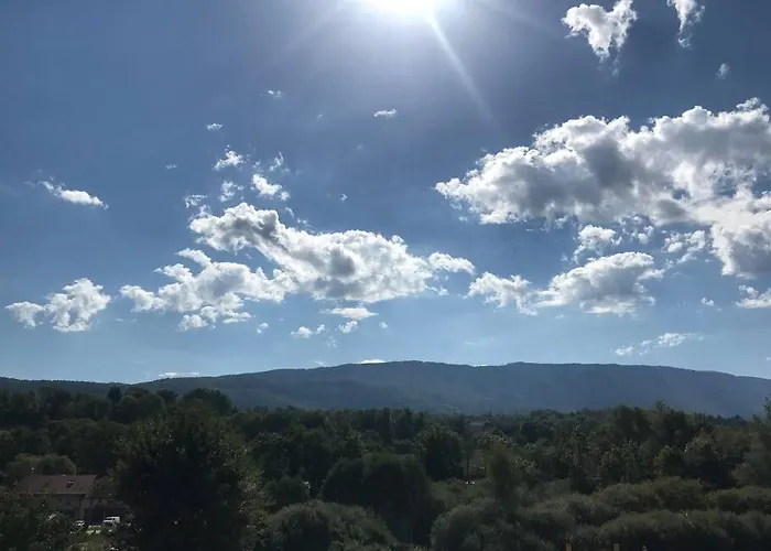 L'edelweiss סיינו